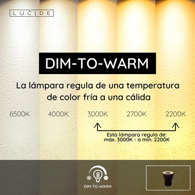 Lucide MR11 - Lámpara led - Ø 3,5 cm - LED Dim to warm - GU10 (MR11) - 1x4W 2200K/3000K - Negro